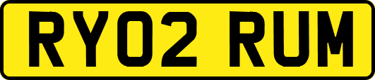 RY02RUM