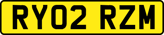 RY02RZM