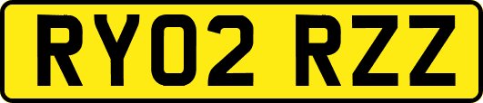 RY02RZZ