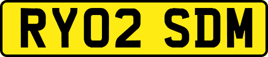 RY02SDM