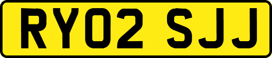 RY02SJJ