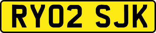 RY02SJK