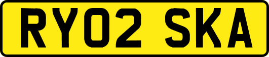 RY02SKA
