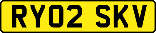 RY02SKV
