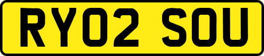 RY02SOU