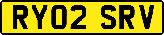 RY02SRV