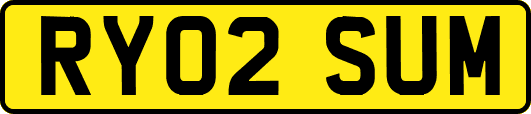RY02SUM