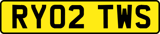 RY02TWS