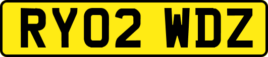 RY02WDZ