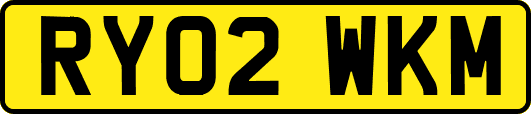 RY02WKM