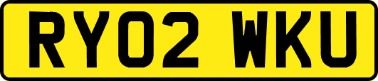 RY02WKU