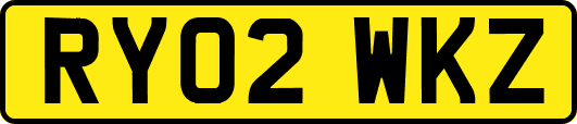 RY02WKZ