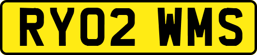 RY02WMS