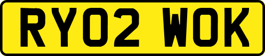 RY02WOK