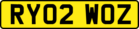 RY02WOZ