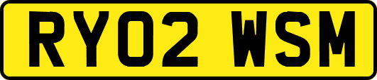 RY02WSM