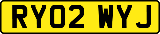 RY02WYJ