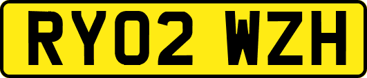 RY02WZH