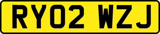 RY02WZJ