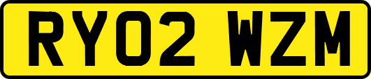 RY02WZM