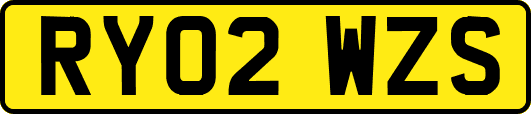 RY02WZS