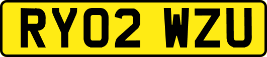 RY02WZU