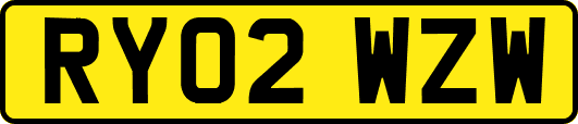 RY02WZW