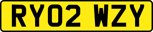 RY02WZY