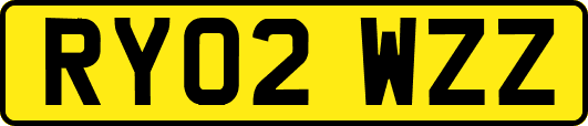RY02WZZ