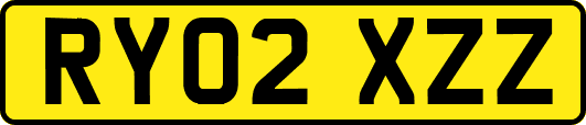 RY02XZZ