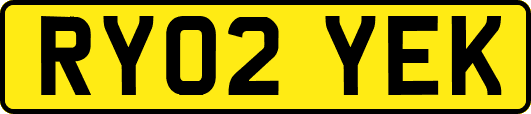 RY02YEK