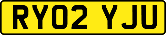 RY02YJU
