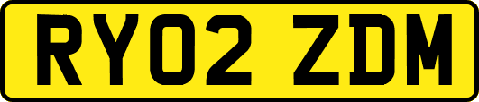 RY02ZDM