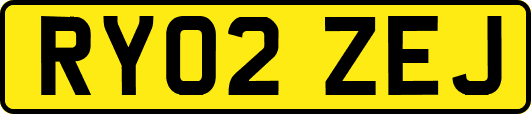 RY02ZEJ