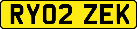 RY02ZEK