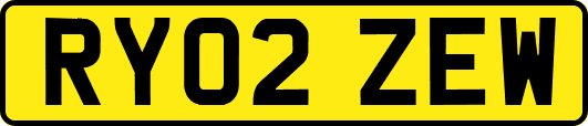RY02ZEW