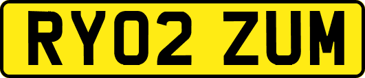RY02ZUM