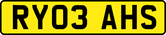 RY03AHS