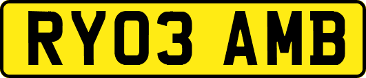 RY03AMB