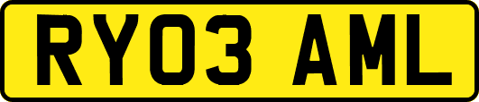 RY03AML