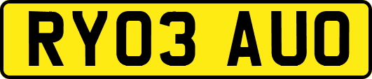 RY03AUO