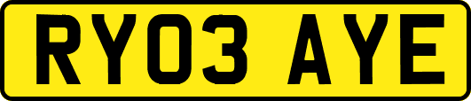 RY03AYE
