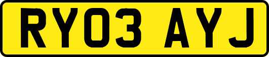 RY03AYJ