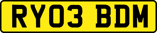 RY03BDM