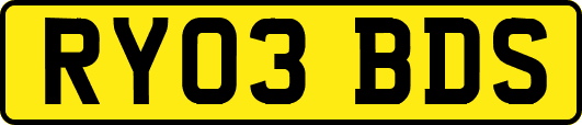 RY03BDS