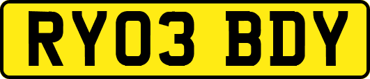 RY03BDY