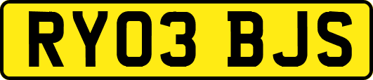 RY03BJS