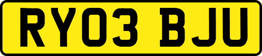 RY03BJU