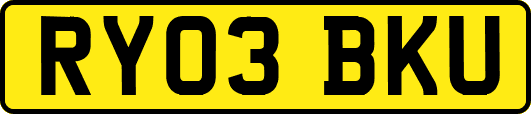 RY03BKU