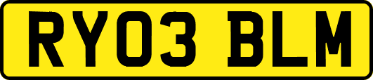 RY03BLM